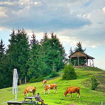 Artvin | Maçahel | Şavşat | Karagöl Turu 9