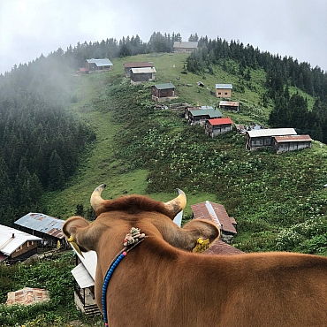 Butik Karadeniz Yayla Turu 3