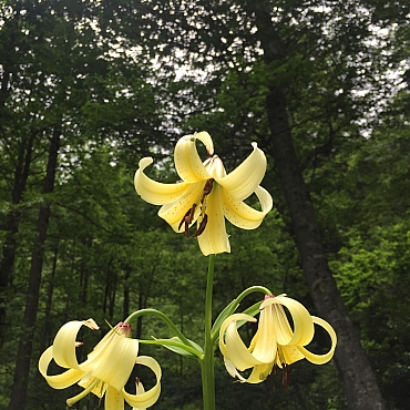 Gito’dan Düşler Vadisi’ne 6 Gito’dan Düşler Vadisi’ne 6