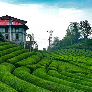 Karadeniz Instagram Turu