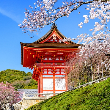 Sakura Dönemi Dolu Dolu Japonya Turu Mistik Rotalar 1 Sakura Dönemi Dolu Dolu Japonya Turu Mistik Rotalar 1