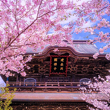 Sakura Dönemi Dolu Dolu Japonya Turu Mistik Rotalar 5 Sakura Dönemi Dolu Dolu Japonya Turu Mistik Rotalar 5