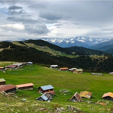 Sal Yaylası & Pokut Yaylası Turu 4
