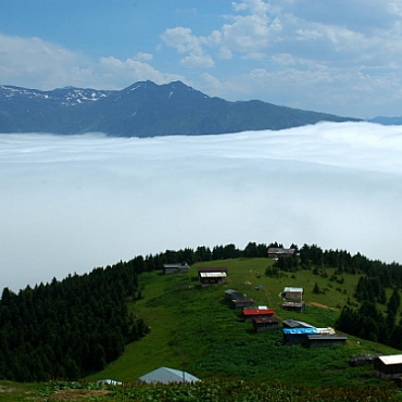 Sal Yaylası & Pokut Yaylası Turu 7
